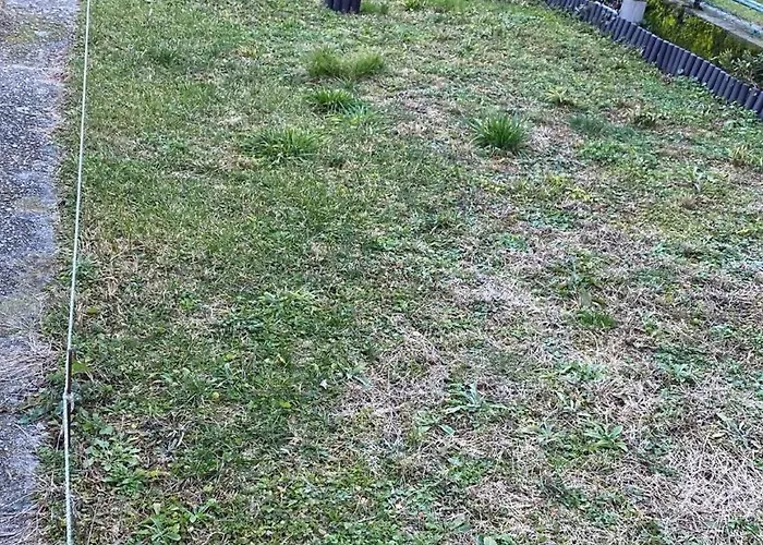 Casa Gatto Lejlighed Cannobio